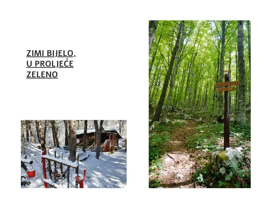 Bistra Korita - zimi bijelo, u proljeće zeleno. Foto©Z.R.