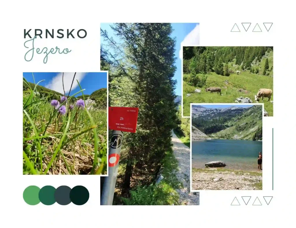 Pastelno Krnsko jezero - detalji okruženja. Foto©Z.R.