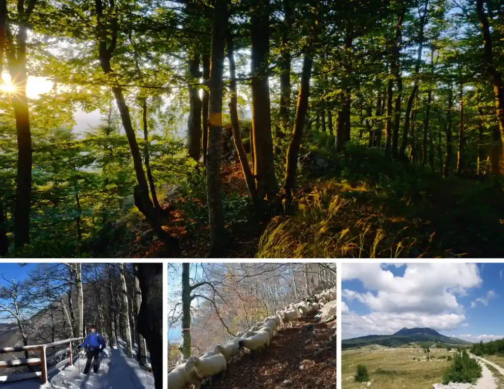Učka kroz 5 koraka, planinarske staze i putevi. Foto©Z.R., 2021