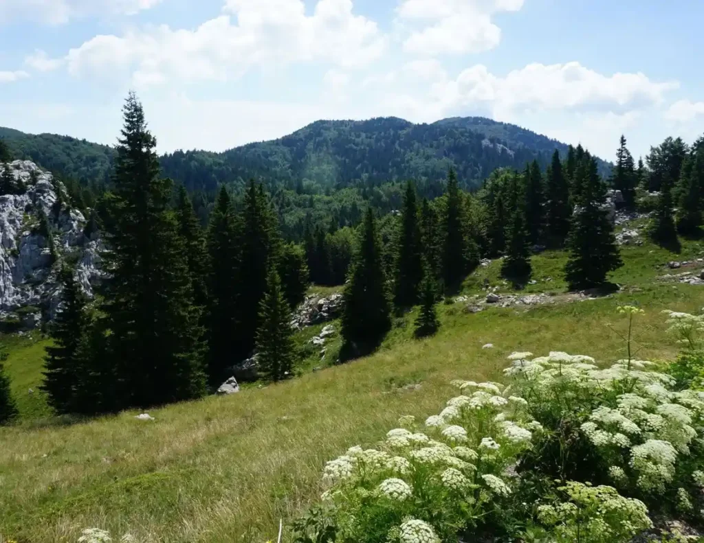 Čudesna Premužićeva staza, prekrasni krajolici NP Sjeverni Velebit. Foto©M.R.
