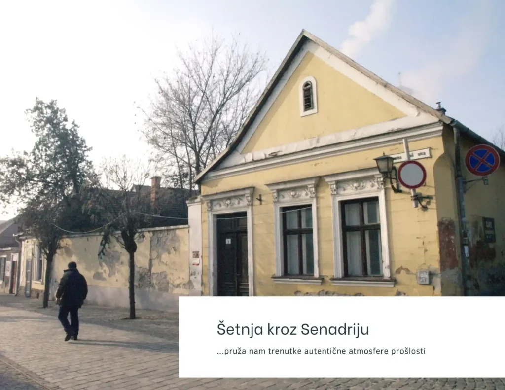 Pitoreskna Senadrija, foto trenutak. Foto©Z.R.