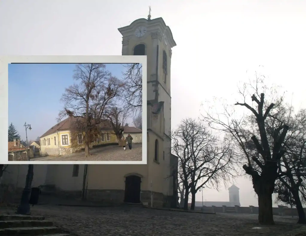Pitoreskna Senadrija, mistična atmosfera perivoja. Foto©Z.R.