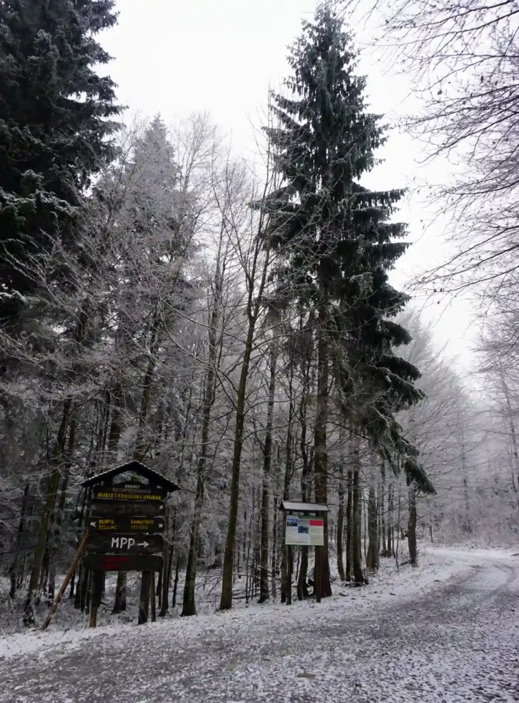 Vihoraški put, Mlečikov Lug za vrijeme snijega. Foto©Z.R.