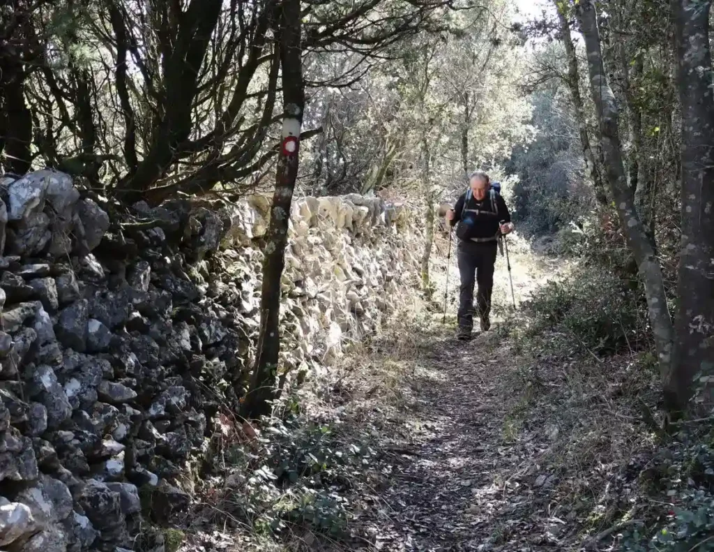 Creskim stazama - Valun - Lubenice, staza iznad valuna okružena je suhozidima. Foto©Z.R., 2024