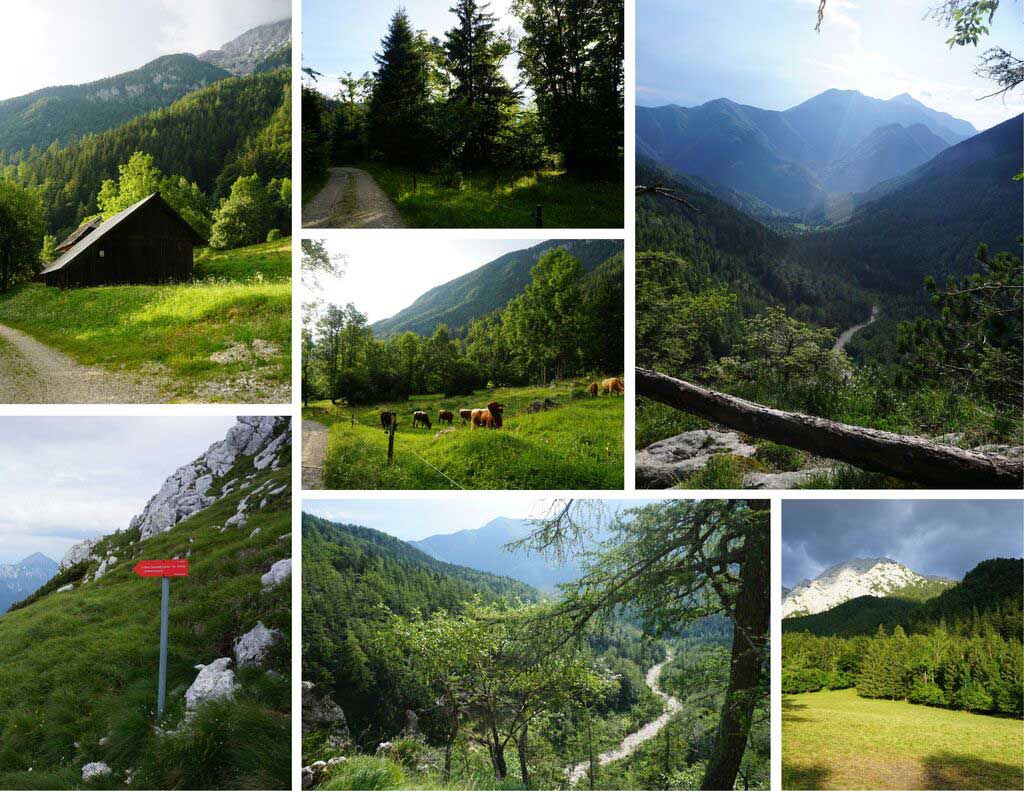 Pogled na osunčane doline Suhadolnika za vrijeme zalaska.