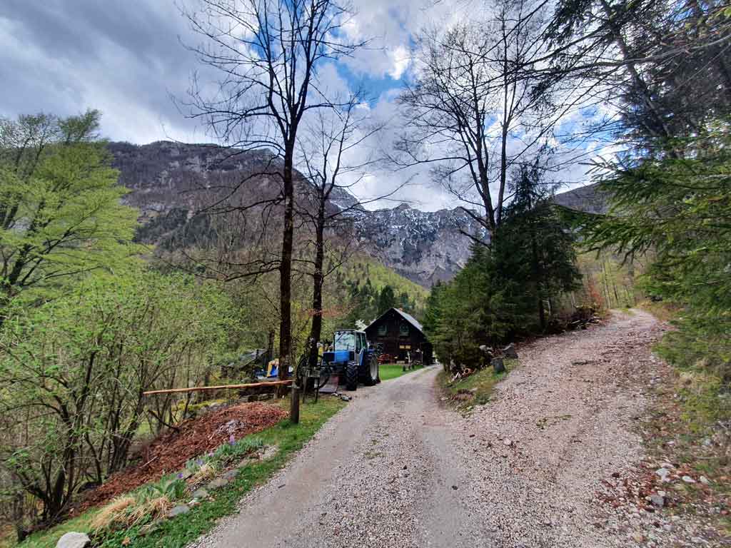 Grintovec, uspon od Kamniške Bistrice započinje makadamom. Foto©Z.R., 2022