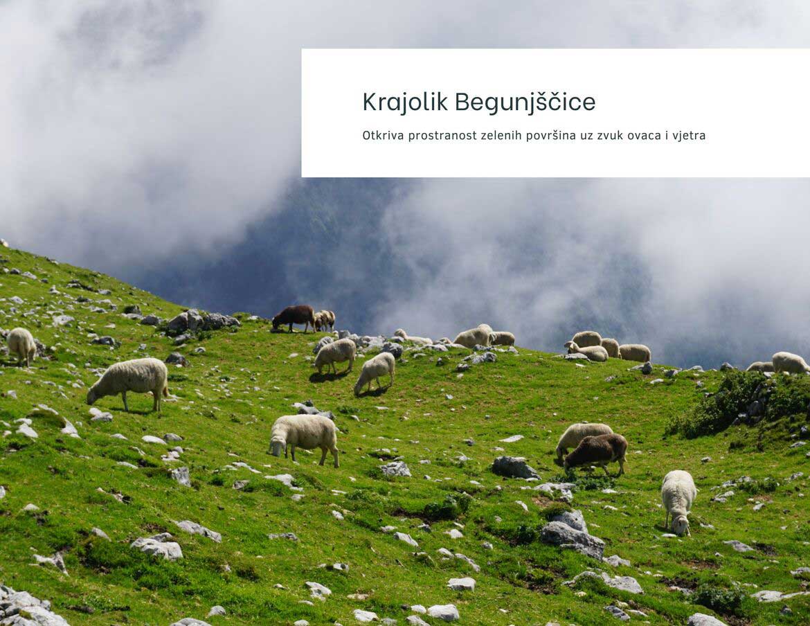 Impresivna Begunjščica, ovce na vrhu. Foto©Z.R., 2019