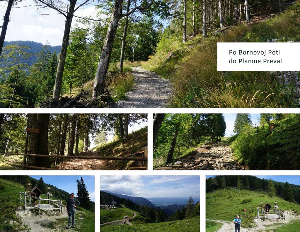 Impresivna Begunjščica, po Bornovoj Poti do Planine Preval. Foto©Z.R., M.R., 2019