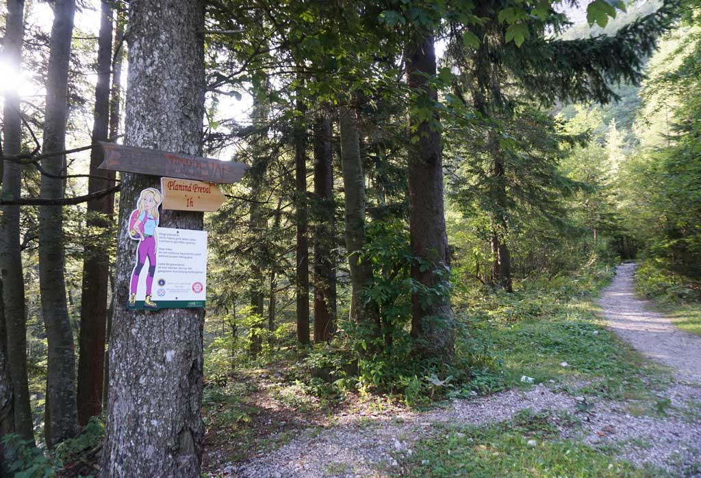 Impresivna Begunjščica, početak staze. Foto©Z.R., 2019