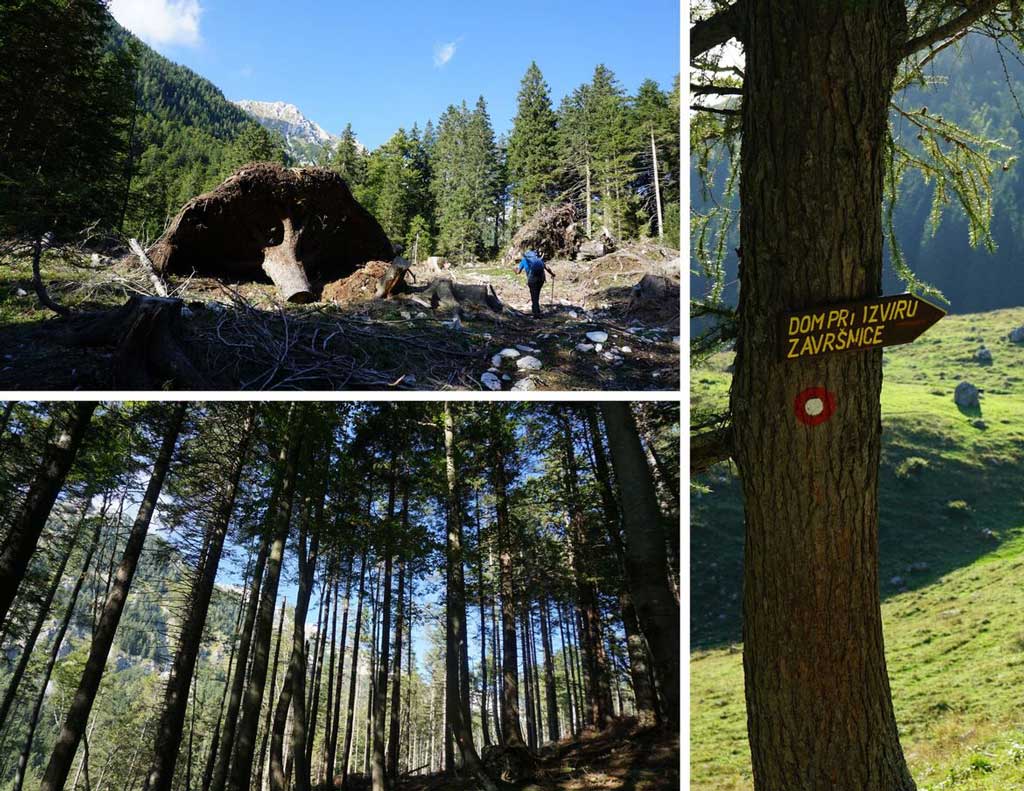 Impresivna Begunjščica, prema Izviru Završnice. Foto©Z.R., 2019