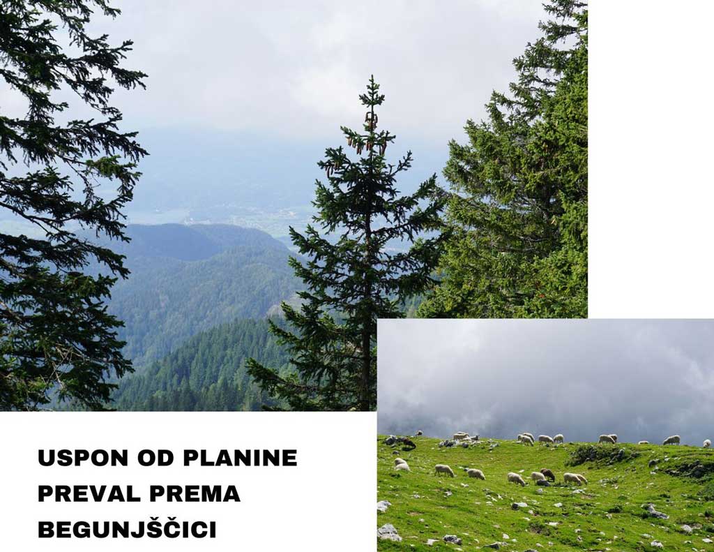 Impresivna Begunjščica, uspon na Begunjščicu od planine Preval. Foto©Z.R., 2019