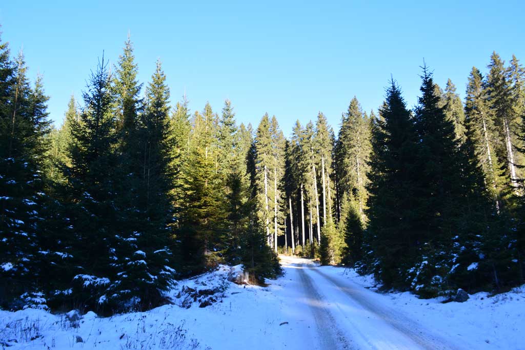 Magična Debela Peč, prema planini Zajavornik. Foto©Z.R., 2016
