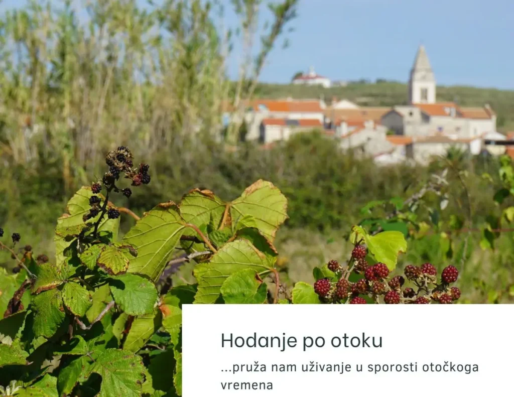 Pješčani Susak, za vrijeme jesenskoga istraživanja otoka pronalazimo i poneku kupinu. Foto©Z.R.