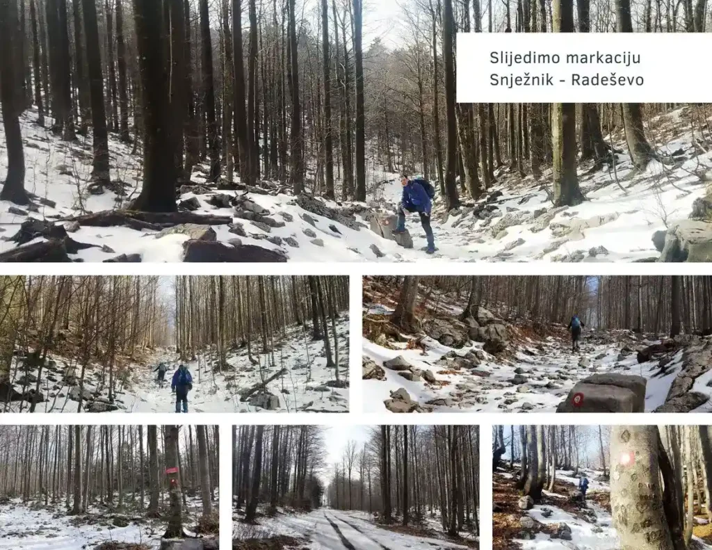 Snježnik, Platak - Snježnik - uspon kroz šumu po stazi. Foto©Zdravko Rajko, M.R., D.S., 2024