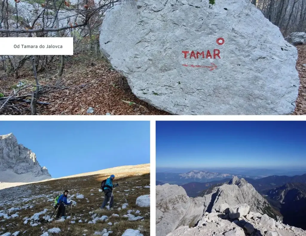 Kralj Jalovec, od Tamara do vrha. Foto©Z.R.