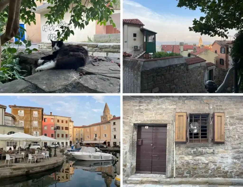 Ljetna šetnja u Muggi, kroz Muggiu. Foto©Z.R., 2023