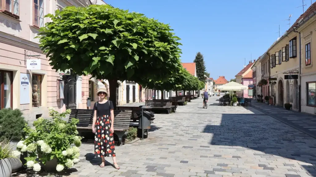 Barokni Varaždin, šetnja ulicama. Foto©Z.R.