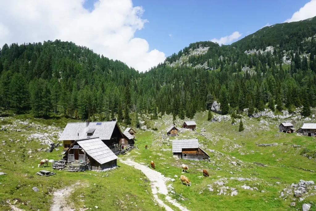Planina Blato, T. Jezera, pastirske kolibe. Foto©Z.R.