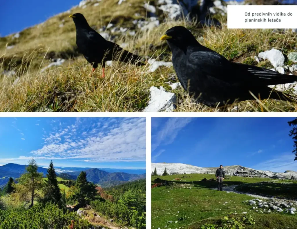 Veličanstvena Košuta, na grebenima Košute. Foto©Z.R., M.R.