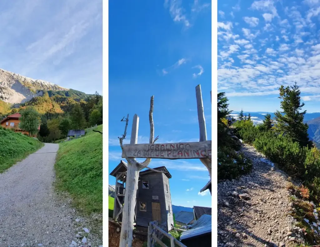 Veličanstvena Košuta, od doline do visine. Foto©Z.R.
