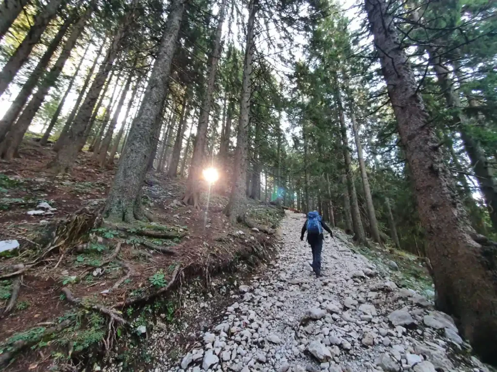 Veličanstvena Košuta, pogled prema dolini. Foto©Z.R., 2020