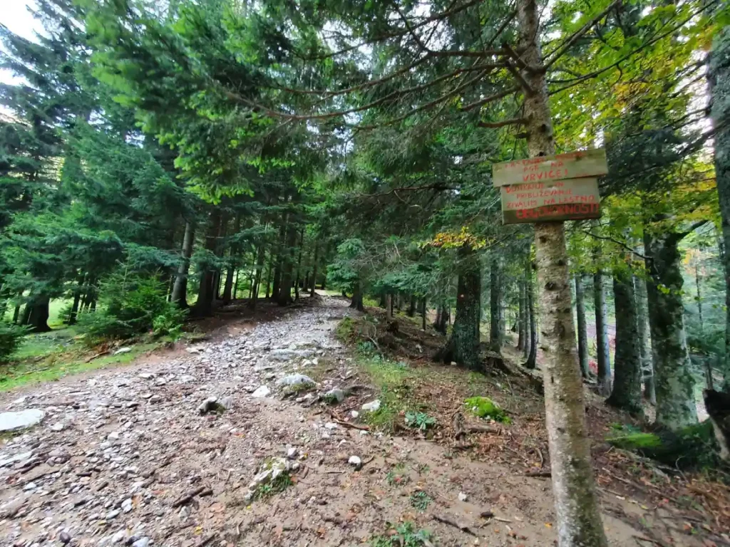 Veličanstvena Košuta, pred izlazak na travnate površine. Foto©Z.R.