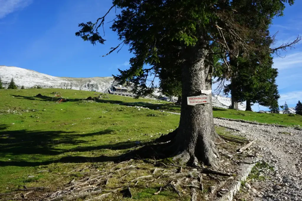 Veličanstvena Košuta, prema domu. Foto©M.R.