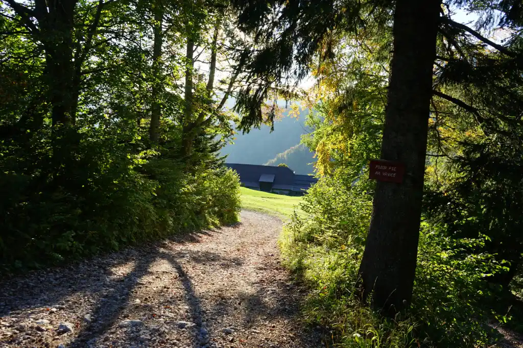 Veličanstvena Košuta, u dolini. Foto©Z.R.