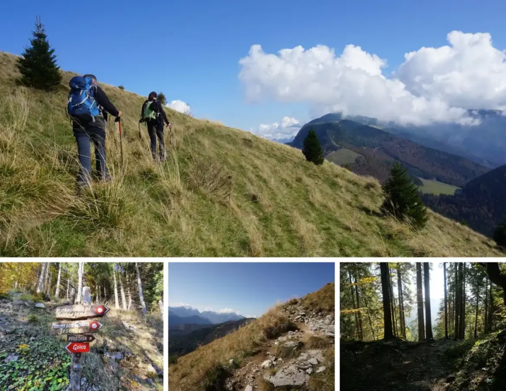 Prostrana Golica, kombinacija zelenila livada, šuma. Foto©Z.R.