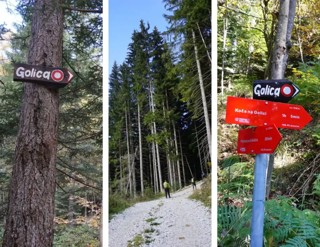 Prostrana Golica, kombinacija zelenila livada, šuma. Foto©Z.R.