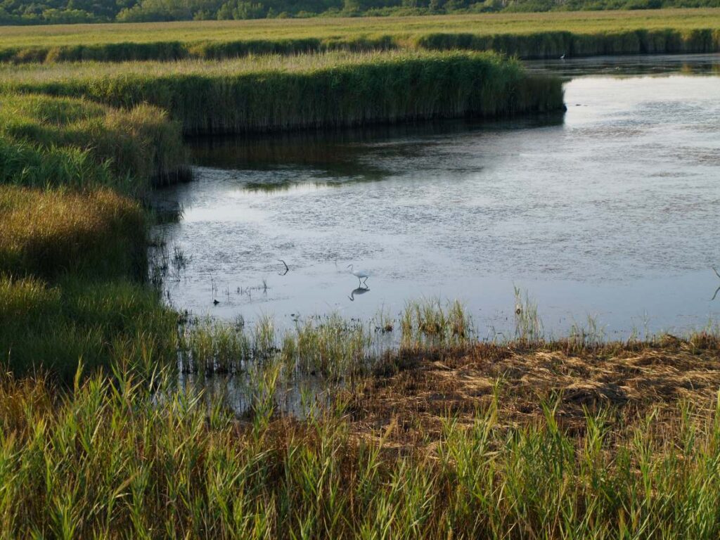 Palud jezero, lake