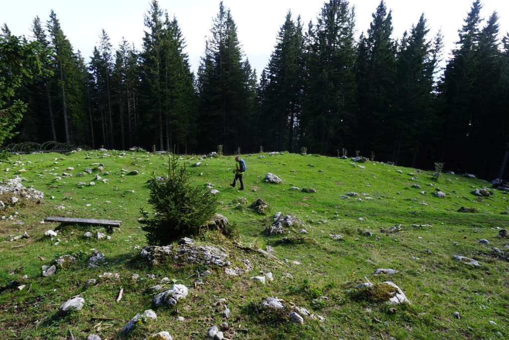 Stol, travnate površine zanimljive su za planinarenje