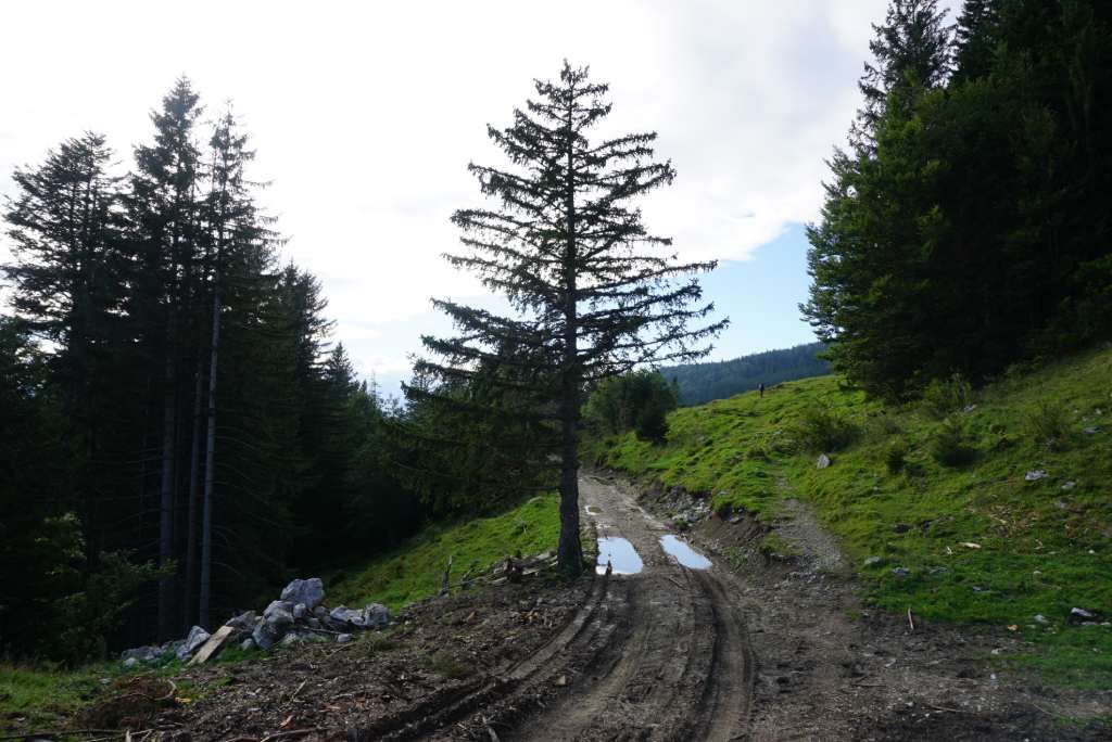 Šumska staza, Karavanke, Stol
