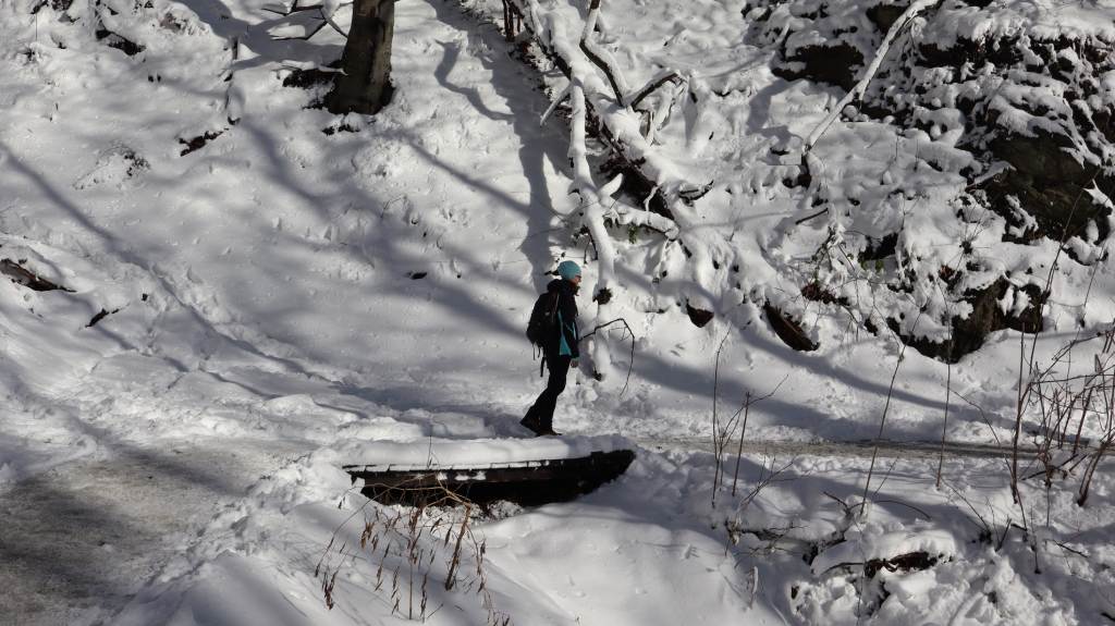 Prijelaz preko potoka na planinarskoj stazi Gračani - Sljeme.