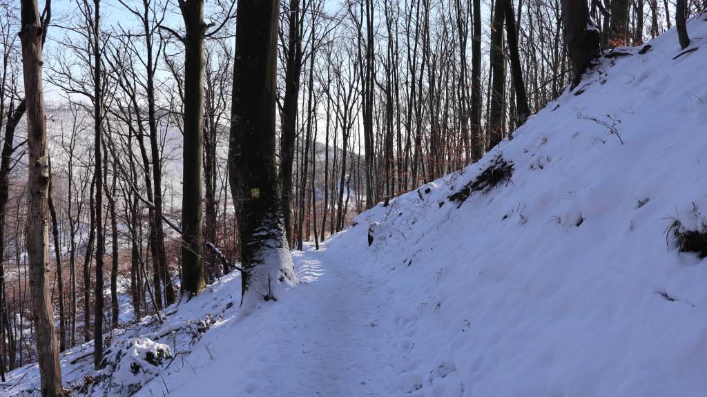 Zimska idila na usponu Gračani - Sljeme