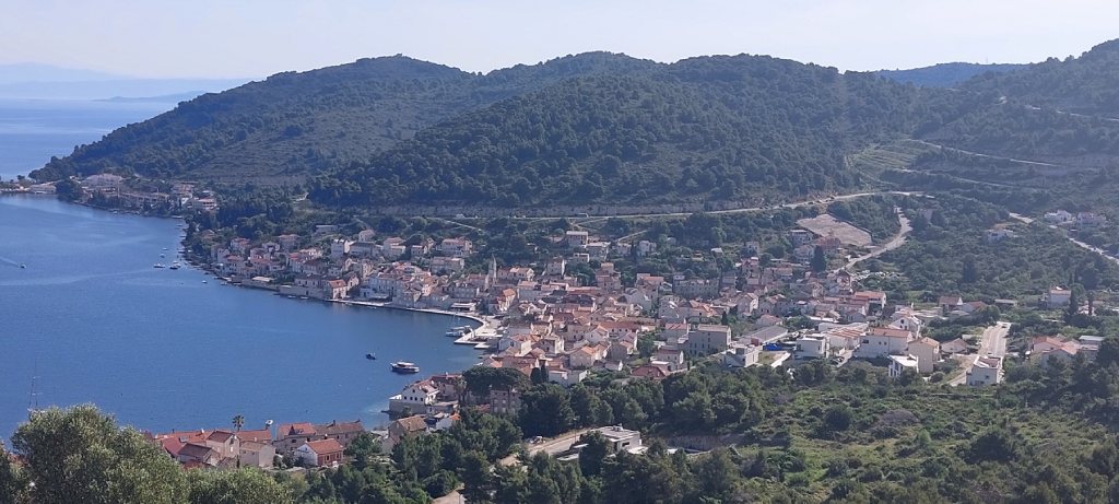 Vis