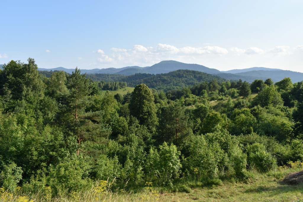 Brod Moravice - Špičasti vrh, goranski krajolik. Foto Zdravko Rajko, 2025