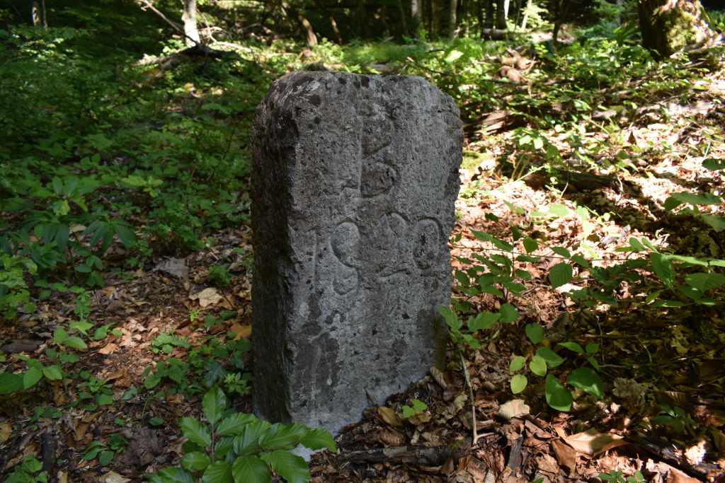 Brod Moravice -Brod Moravice - Špičasti vrh, granični kamen. Foto Zdravko RajkoBrod Moravice - Špičasti vrh, granični kamen. Foto Zdravko Rajko Špičasti vrh, granični kamen. Foto Zdravko Rajko