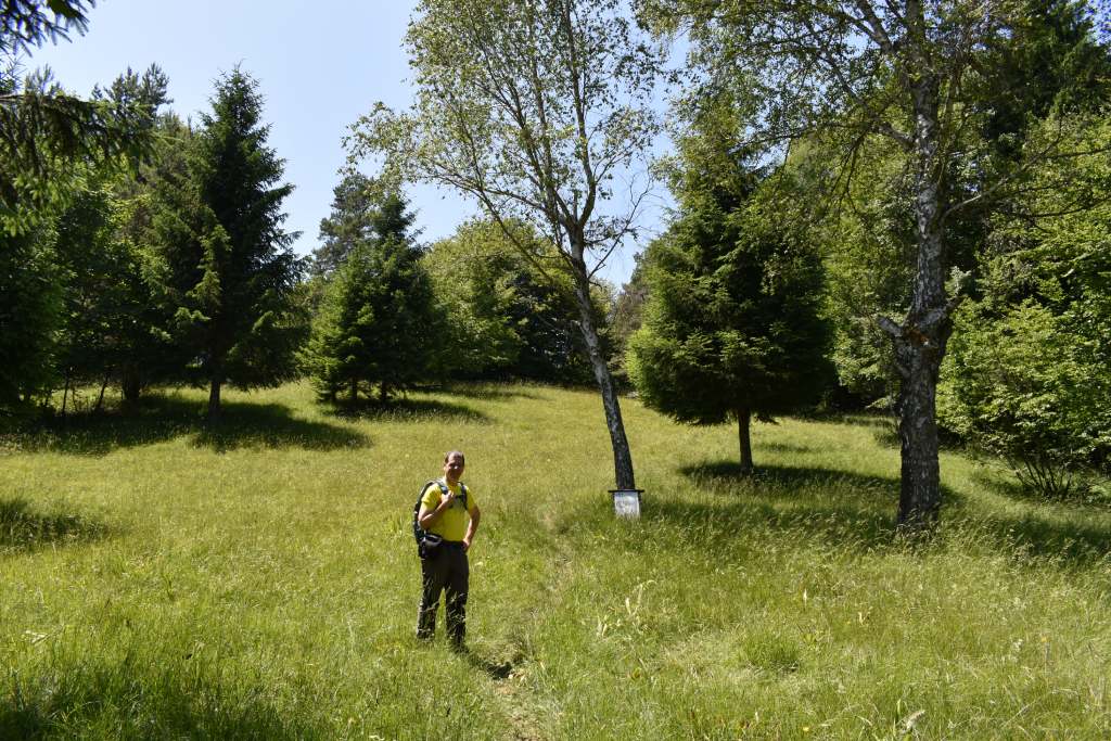 Brod Moravice - Špičasti vrh, prema vrhu. Foto R. Mario
