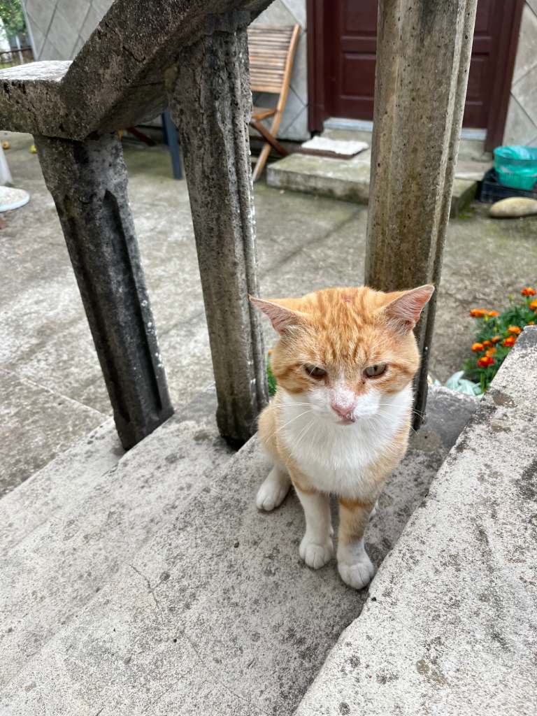 Brod Moravice, autentični smještaj, kuća Pepa. Foto Zdravko Rajko