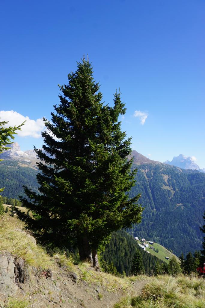 Col di Lana, Dolomiti, planinarenje tišinom.