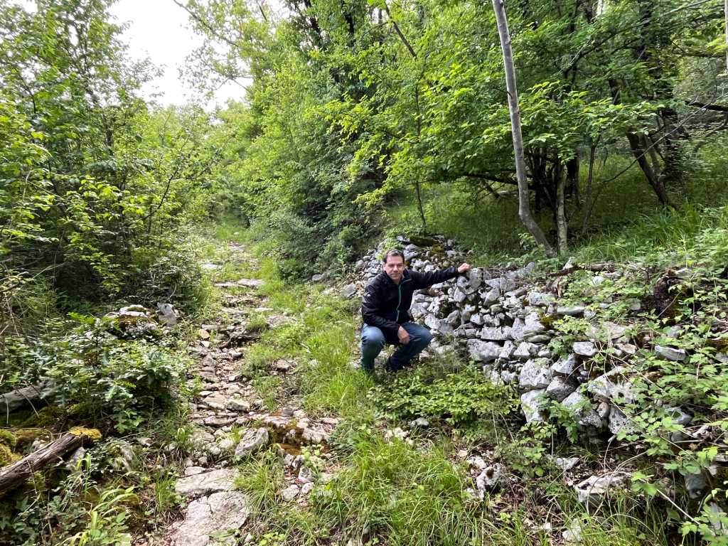 Kringa, staza ljekovitoga bilja.