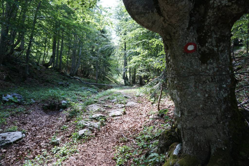 Rodica, uspon u smjeru Planina Suha.