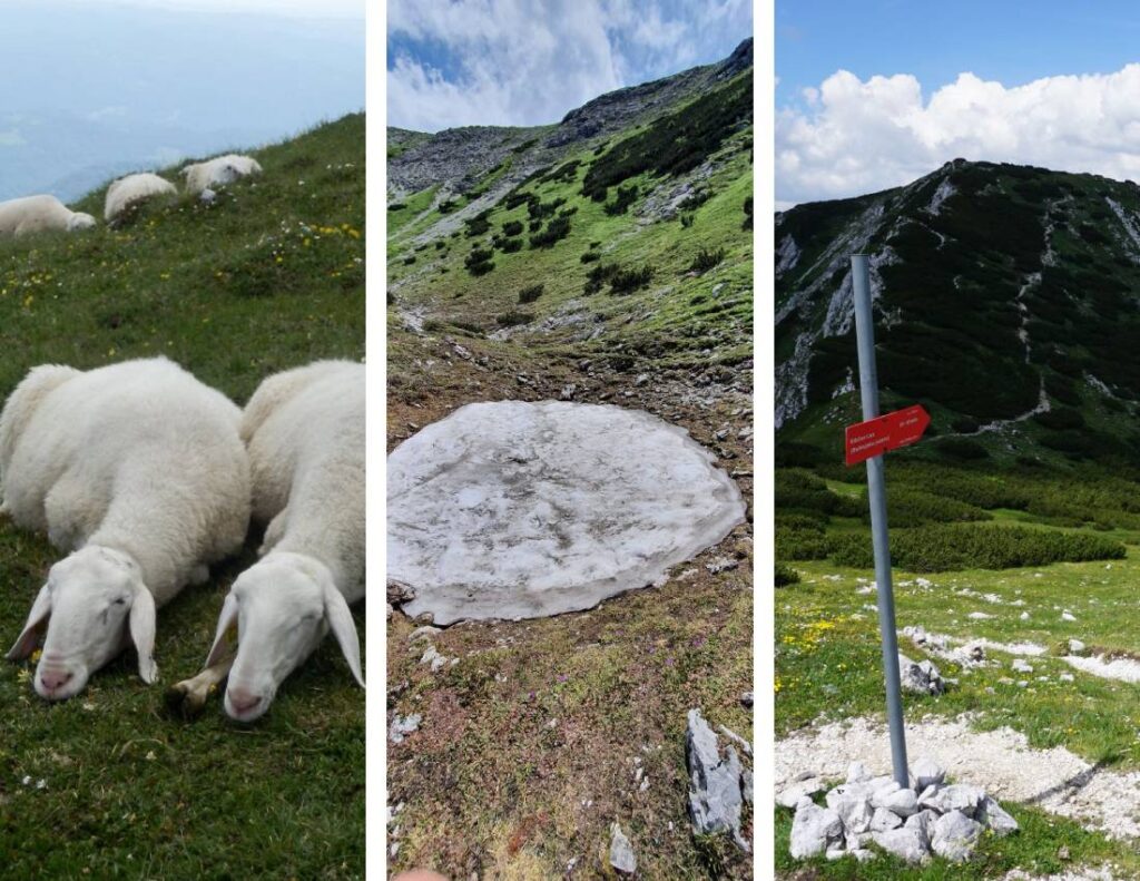 Rodica, planinarenje i život.