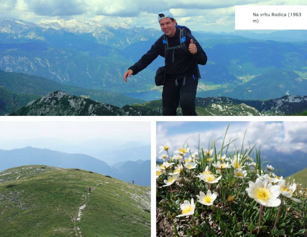 Rodica, na vrhu