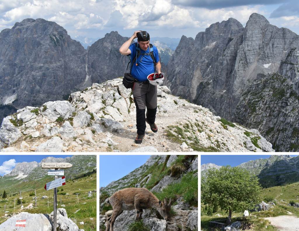 Cima di Terrarossa, Pecol - vrh. Foto
