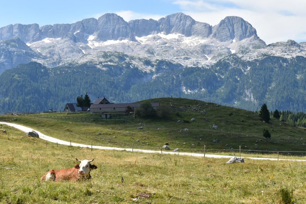 Cima di Terrarossa, na početku staze.
