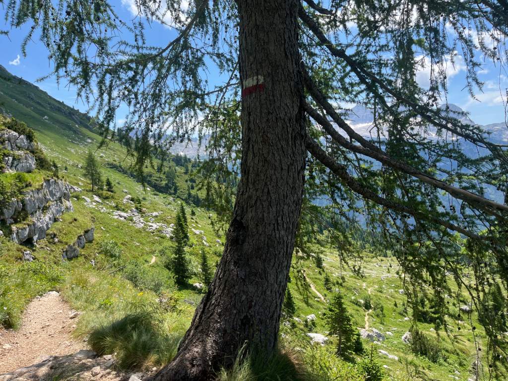 Cima di Terrarossa, odmor u hladu prije stijena.