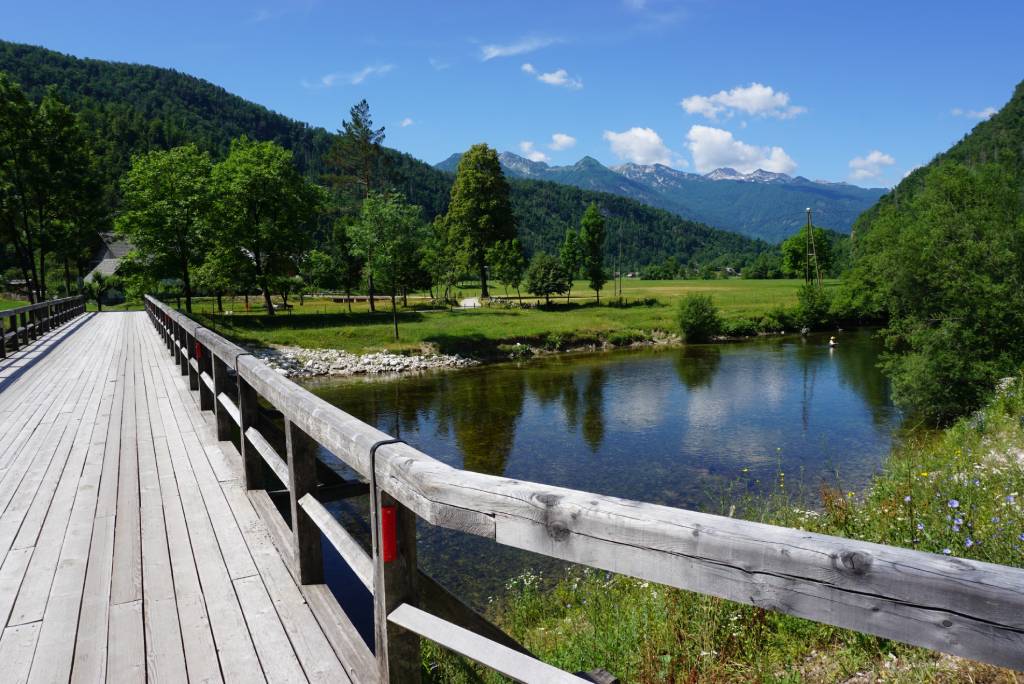 Log v Bohinju.