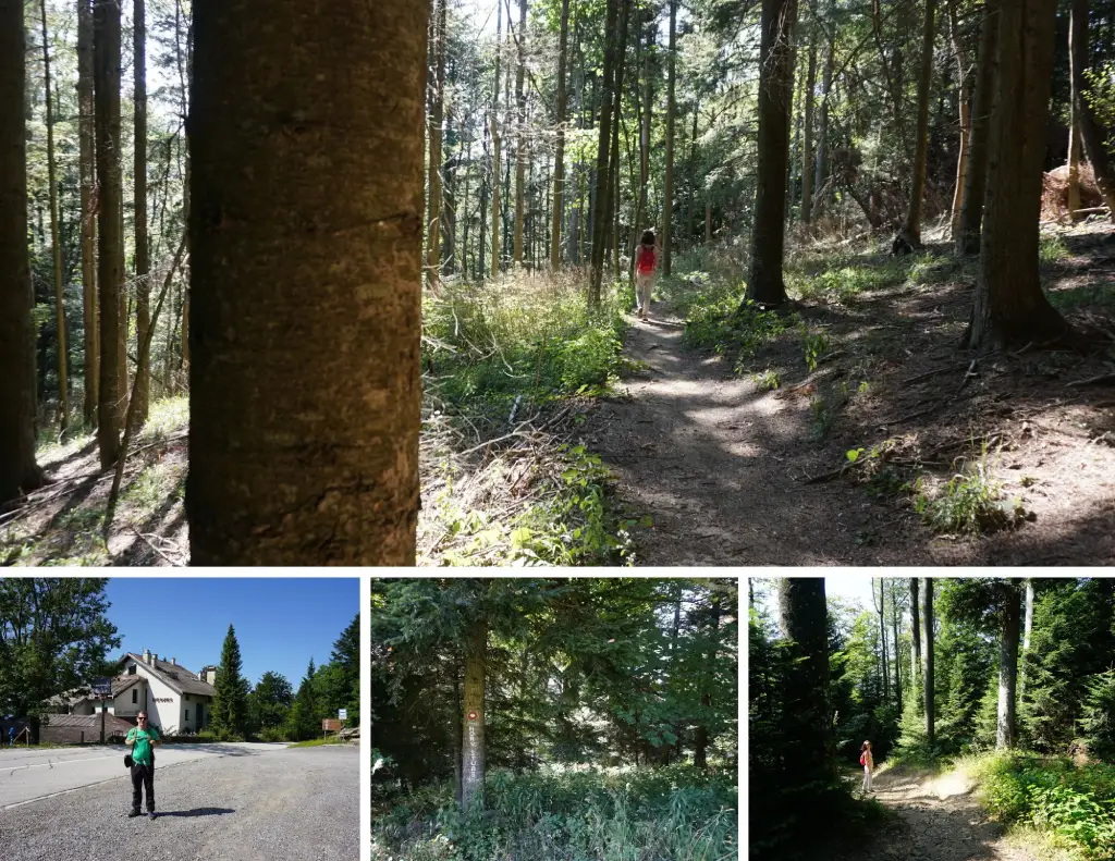 Horvatove stube, od Hunjke prema šumi. . Foto Z.R., J.J., 2025-08